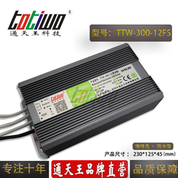 通天王12V25A 12V300W咖啡色户外防水电源