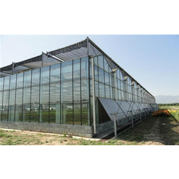 安康玻璃连栋温室、齐鑫温室园艺小唐、玻璃连栋温室造价