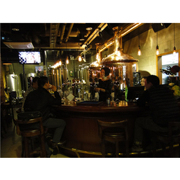 喜啤士(图)|精酿酒吧系统指导|益阳精酿酒吧