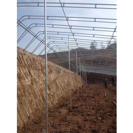 腾达农业(图)|土坑温室建设|平顶山土坑温室