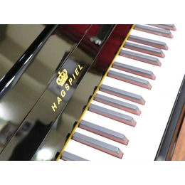 福州钢琴_福州钢琴店推荐_福州天籁之音乐器培训(****商家)