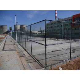 威友丝网(在线咨询),贵州足球场围栏,足球场围栏定制