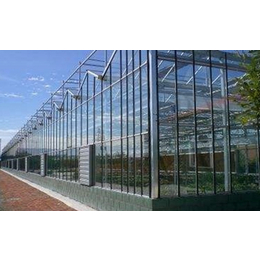 玻璃温室|齐鑫温室园艺(图)|智能玻璃温室