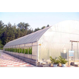 哈密智能温室、鑫华生态农业、智能温室大棚建设