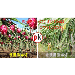 【诺达植物补光灯】(图),植物补光灯包邮,防城港植物补光灯