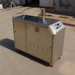 文山蒸汽洗车机|尚铸机械|燃气移动蒸汽洗车机