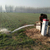 农田节水灌溉设备_厂家*_价格低廉缩略图4