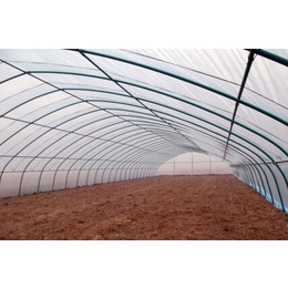 白城智能温室|鑫华生态农业|智能温室大棚建设