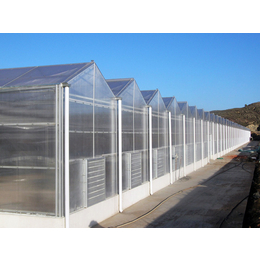 阳光板温室安装_合肥阳光板温室_合肥建野温室工程
