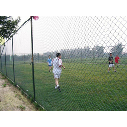 网球场围网、围网、河北九狮围网厂家
