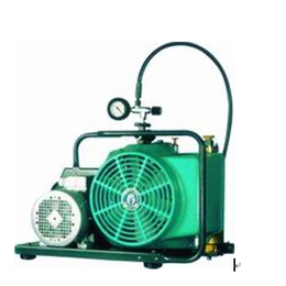 进口JUNIOR II-E-H呼吸器*充气泵配件 空压机