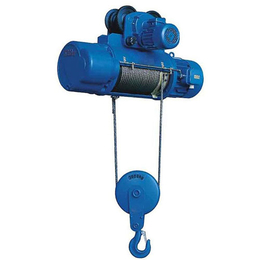 重物起吊吊运机|安元机械(在线咨询)|柳江电动葫芦