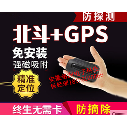 GPS车辆*系统|安徽铭洲(在线咨询)|宣城GPS