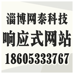 淄博网泰科技(在线咨询),临淄做网站的网络公司