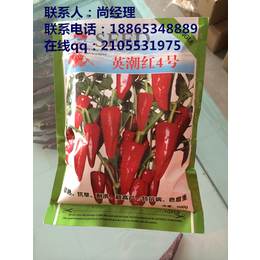 鲁红6号辣椒种子价格,农瑞丰,鸡西辣椒种子