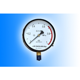 精密数字压力表、贵州压力表、长城仪表厂家*(查看)