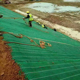 *冲生物毯价格_土工膜潘会杰(在线咨询)_上海*冲生物毯