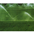 安庆果树喷灌,安徽安维喷灌设备,果树喷灌生产厂家缩略图1