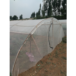 聚乙烯蝗虫养殖纱网可定做成型网罩