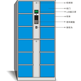 深圳宿舍储物柜,强固,宿舍储物柜定制