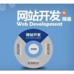 web app开发|桥头镇app开发|*网络科技(查看)