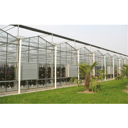 玻璃温室建设设备,玻璃温室建设,齐鑫温室园艺小唐(图)