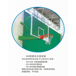 ****生产篮球架厂家,金成体育/实惠,澧县篮球架
