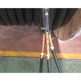 高压交联电力电缆|神龙电缆|高压交联电力电缆定制