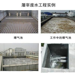 屠宰污水处理设备价格、贵州屠宰污水处理设备、诸城宝联特环保