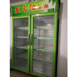速冻冰箱|南安冰箱|厦门鑫三阳(查看)