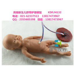 康为医疗KDFH132*新生儿脐带护理模型