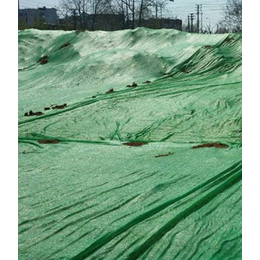 绿色防尘网2针半台州,遮阳网安全网,绿色防尘网2针半