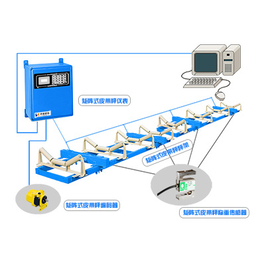 皮带秤哪家好 陕西矿用皮带秤供应  价格低 质量好缩略图