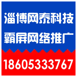 张店网络营销_淄博网络营销怎么收费_淄博网泰科技(****商家)