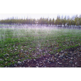 微喷制作,安徽安维节水灌溉,合肥微喷