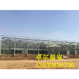 花卉玻璃温室,徐州玻璃温室,卓尔智能温室厂家(查看)