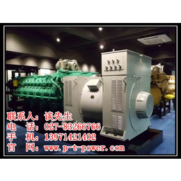 备用发电机|武汉发电机组|备用发电机供应