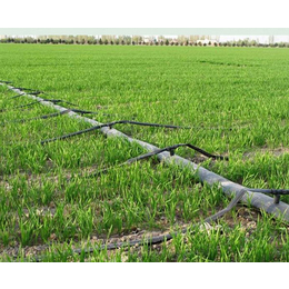 安徽安维节水灌溉(图)|滴灌设备厂家|许昌滴灌