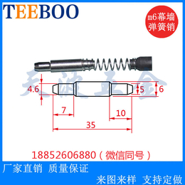304不锈钢 M6幕墙弹簧插销 幕墙不锈钢销钉