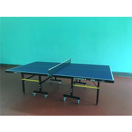 桌球台乒乓球台,永康体育设施,攸县桌球台乒乓球台
