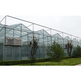 新型玻璃大棚效果图|青州齐鑫温室(在线咨询)|新型玻璃大棚
