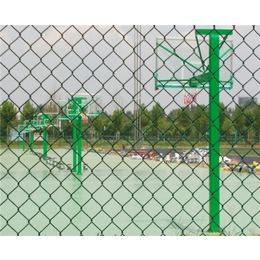 球场围网多少钱|铜陵球场围网|合肥康胜球场围网