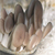 食用菌蘑菇套袋机 平菇香菇木耳养殖装袋机 蘑菇*包装机缩略图1