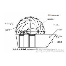 干燥水洗砂设备,洗砂设备,多利达重工(查看)