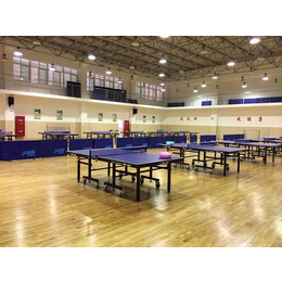 乒乓球木地板结构分类、睿聪体育设施、沧州乒乓球木地板
