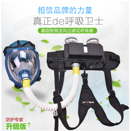 鑫励厂家*便携式电动送风呼吸器面具802面具