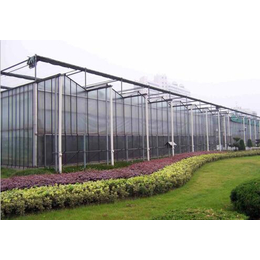 渭南温室、鑫华生态农业科技发展、连栋温室