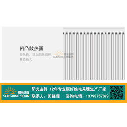 阳光益群(图)-碳纤维电暖器耗电大吗-黄山碳纤维电暖器