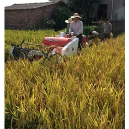 水稻联合收割机-水稻联合收割机价格-中热农业机械(****商家)