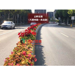 上海进博会道路景观绿化 道路花箱景观工程 绿色城市生态空间